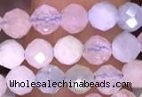 CTG1606 15.5 inches 4mm faceted round tiny morganite beads