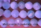 CTG1626 15.5 inches 3.5mm faceted round tiny amazonite beads