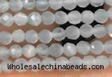 CTG2145 15 inches 2mm,3mm faceted round aquamarine gemstone beads