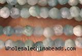 CTG2154 15 inches 2mm,3mm faceted round amazonite gemstone beads