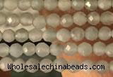 CTG2155 15 inches 2mm,3mm faceted round amazonite gemstone beads