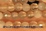 CTG2209 15 inches 2mm,3mm faceted round botswana agate beads