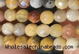 CTG2219 15 inches 2mm,3mm faceted round crazy lace agate beads