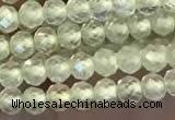 CTG2246 15 inches 2mm faceted round natural prehnite beads