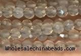 CTG2255 15 inches 2mm faceted round grey agate beads