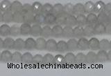 CTG613 15.5 inches 3mm faceted round labradorite beads