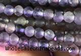 CTG751 15.5 inches 3mm faceted round tiny iolite beads wholesale