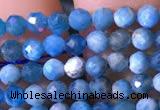 CTG760 15.5 inches 3mm faceted round tiny apatite gemstone beads