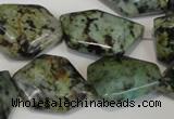 CTU2483 15.5 inches 12*18mm - 22*27mm freeform African turquoise beads