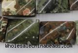 CTW398 15.5 inches 18*25mm twisted rectangle rhyolite gemstone beads