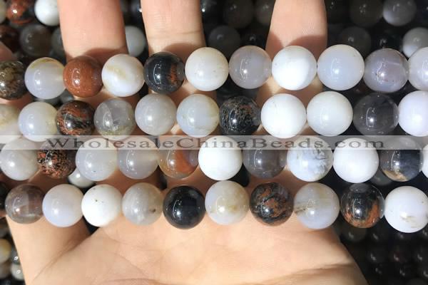 CWJ571 15.5 inches 10mm round Arizona petrified wood jasper beads