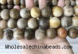 CWJ597 15.5 inches 18mm round wood jasper beads wholesale