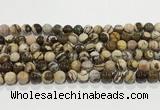 CZJ422 15.5 inches 8mm round Australian zebra jasper beads wholesale