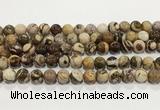 CZJ423 15.5 inches 10mm round Australian zebra jasper beads wholesale