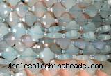 FGBS12 15 inches 12mm faceted Four leaf clover blue chalcedony beads