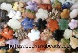 FGBS216 15 inches 20mm carved 5 petal flower colorful gemstone beads wholesale