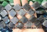 FGBS275 15 inches 18mm four leaf clover labradorite beads wholesale