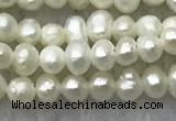 FWP05 14.5 inches 2mm - 2.5mm potato white freshwater pearl strands