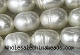 FWP171 14.5 inches 5mm - 6mm rice white freshwater pearl strands