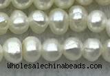 FWP21 14.5 inches 3mm - 3.5mm potato white freshwater pearl strands