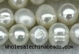 FWP35 14.5 inches 5mm - 6mm potato white freshwater pearl strands