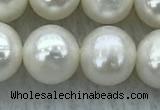 FWP87 15 inches 8mm - 9mm potato white freshwater pearl strands