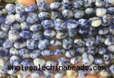 HGBS14 15 inches 12mm heart blue spot jasper gemstone beads wholesale