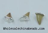 NGP2496 15*18mm - 18*20mm shark teeth pendants wholesale