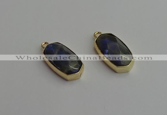 NGP7270 13*25mm faceted freeform labradorite pendants wholesale