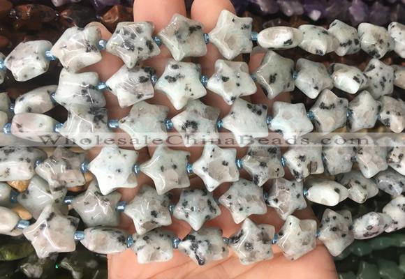 RGBS18 15 inches 16mm star kiwi jasper gemstone beads wholesale