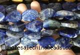 TWBS45 15 inches 18*25mm twist oval sodalite beads wholesale