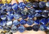 TWBS71 15 inches 16mm twist coin sodalite beads wholesale